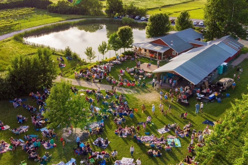 Aerial view of a lively outdoor gathering near a pond, with many people sitting on blankets and enjoying the event.