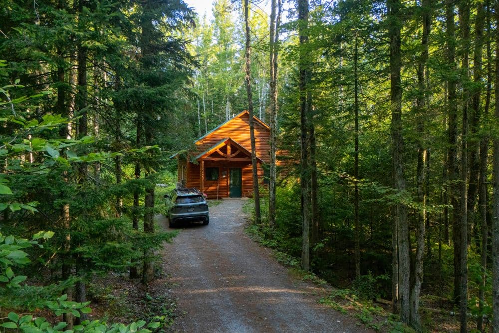 A wooden cabin nestled among tall trees with a gravel driveway and a parked car.